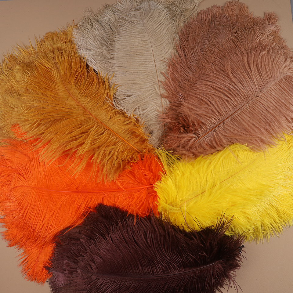 10pcs Ostrich Feathers for Cra – Feather Trim Marabou recenzja i cena