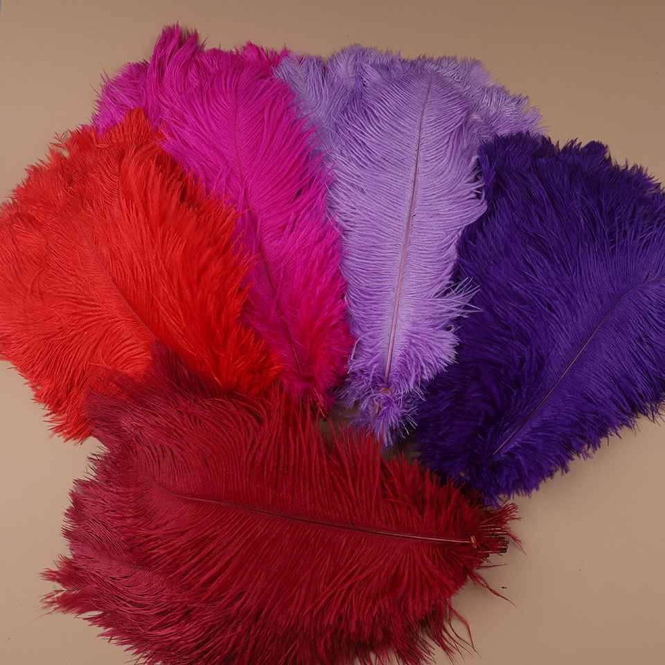 10pcs Ostrich Feathers for Cra – Feather Trim Marabou recenzja i cena