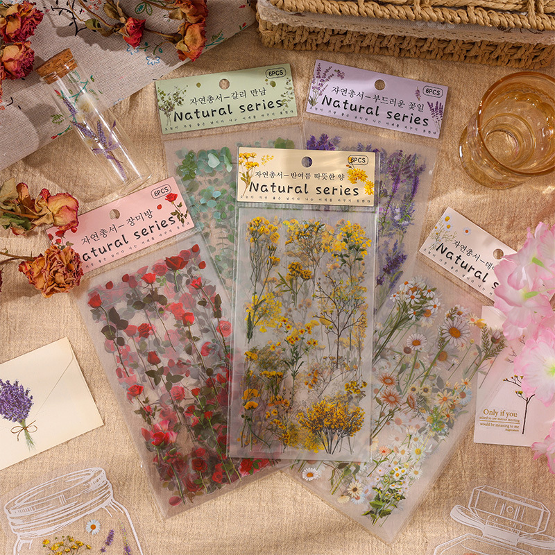 6pcs/pack Retro Plant & Flower – Embellishments For Scrapbooking recenzja i cena