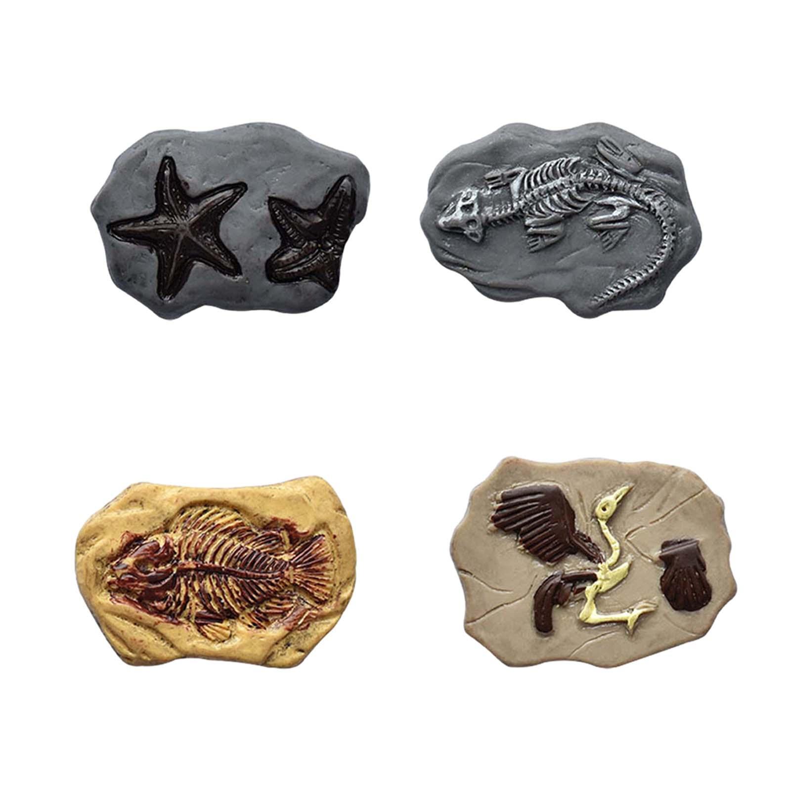 Miniature Fossil Realistic Mod – Embellish Craft recenzja i cena