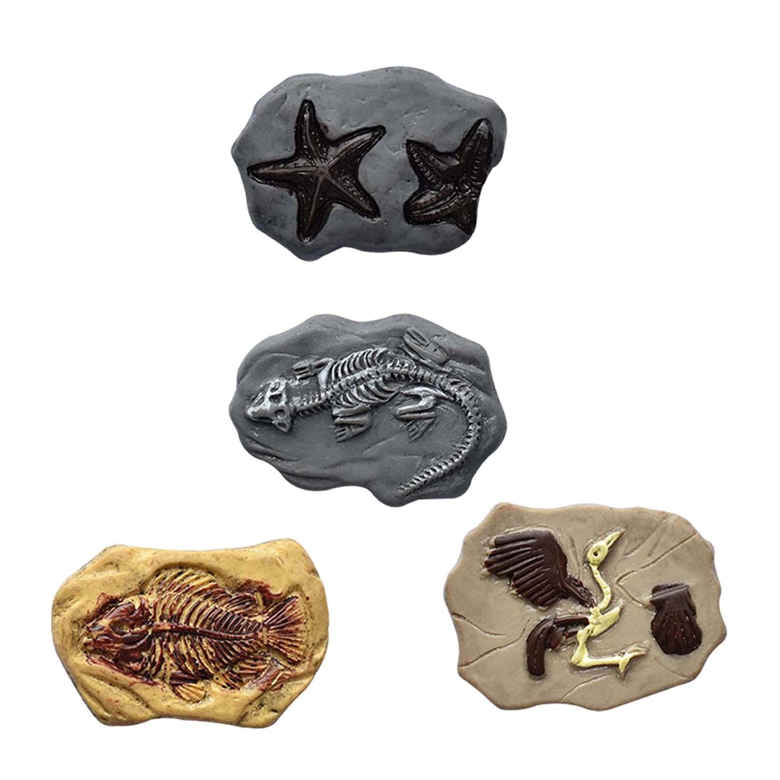 Miniature Fossil Realistic Mod – Embellish Craft recenzja i cena